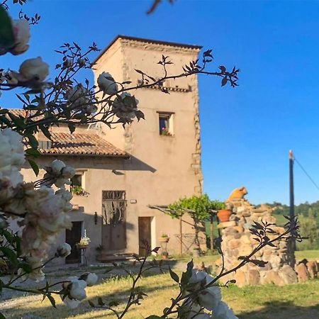 Soulful Holiday Home In Modena Wth Garden 外观 照片